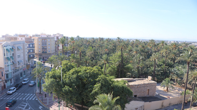 New apartment overlooking the palm forest in Elche - 1