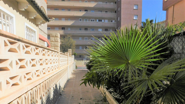 Spacious apartment 200 meters from the sea - 3