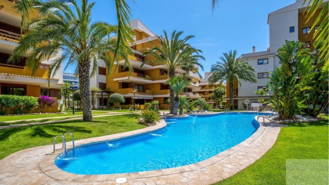 Комфортабельные апартаменты в городе Торревьеха