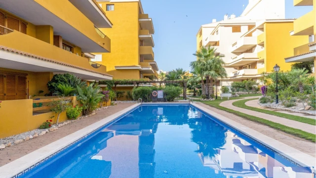 Комфортабельные апартаменты в городе Торревьеха