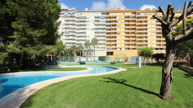 One bedroom apartment with pine forest view in Dehesa de Campoamor - 1