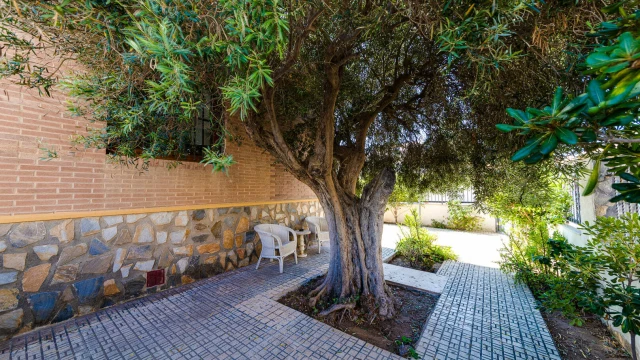 Просторный дом в городе Торревьеха, район Ла Мата