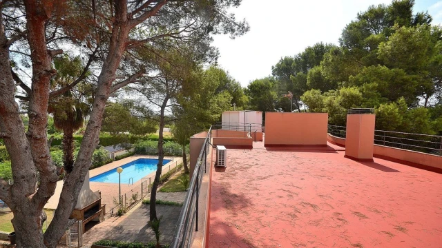 Дом с большим участком в городе Торревьеха