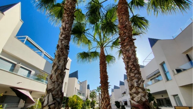 Комфортабельное бунгало в популярном районе в городе Торревьеха