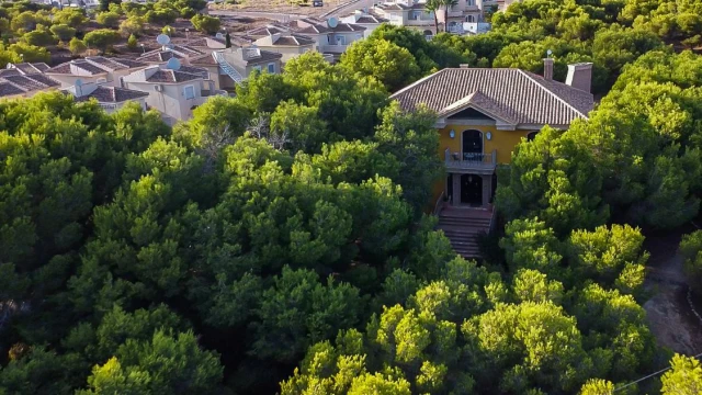 Комфортабельный дом с большим участком в городе Сьюдад Кесада