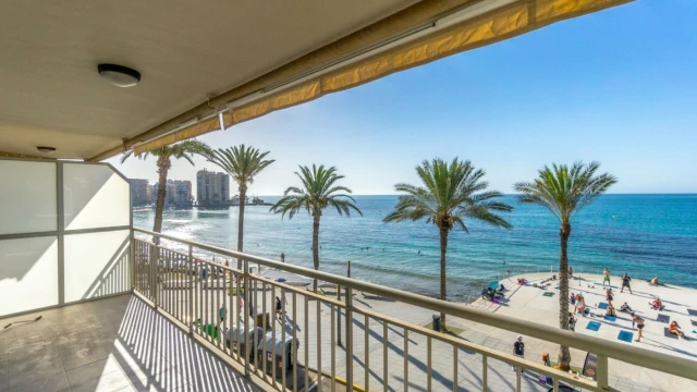 Великолепные отремонтированные апартаменты с видом на море в городе Торревьеха