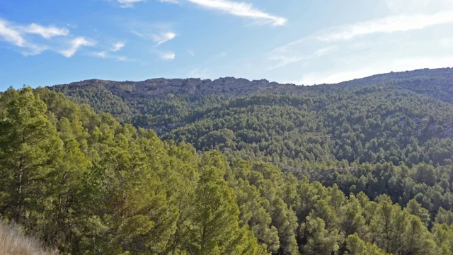 Роскошная горная усадьба в природном парке Sierra Espuña, Murcia