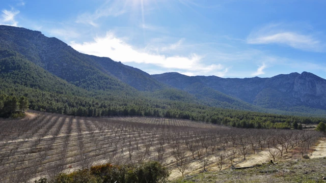 Роскошная горная усадьба в природном парке Sierra Espuña, Murcia