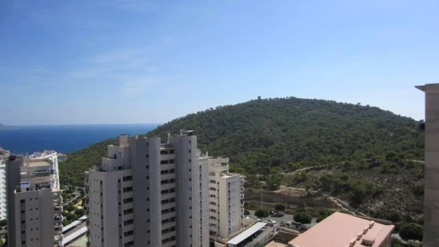 Квартира с одной спальней в Villajoyosa 