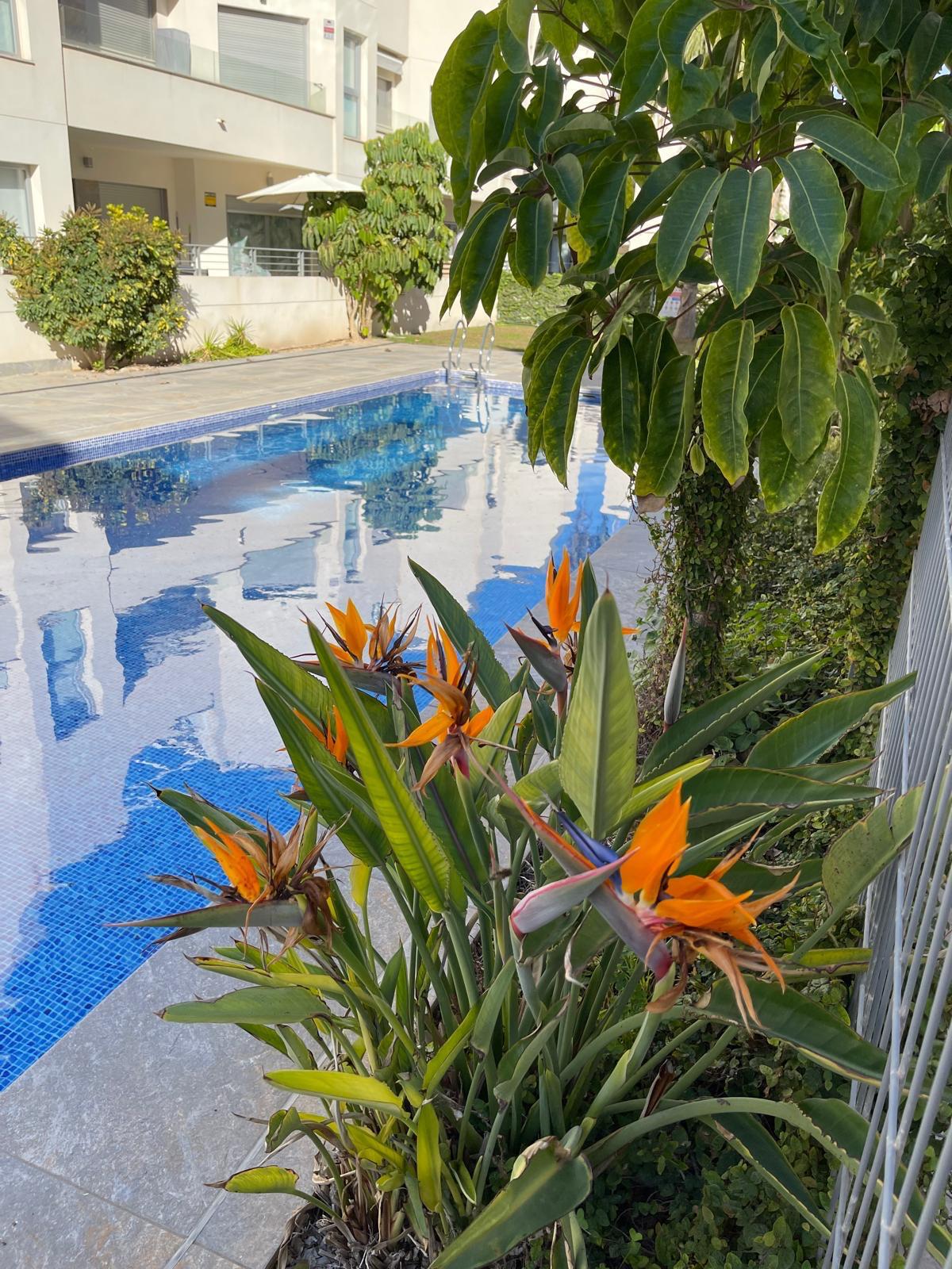 Bungalow in Torrevieja,  - Vidando