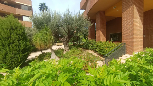 Просторная квартира в престижном районе в Аликанте