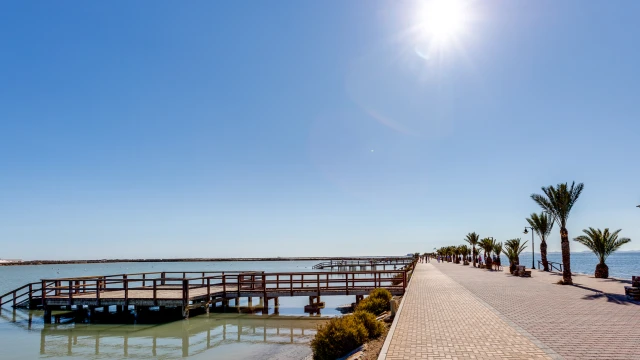 Элитные виллы с садом и бассейном в Пилар-де-ла-Орадада