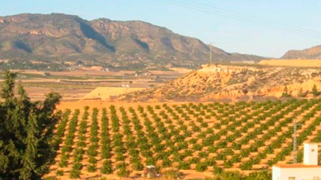 Участок 19 000 м² с мельницей и рестораном рядом с Мар Менор и Мурсией