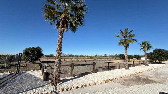 Уникальная конюшня с лицензией RIGA и жилым амбаром рядом с Альгорфой