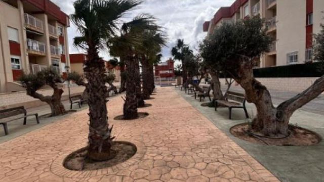 Новые апартаменты у моря в Ориуэле: современный комфорт по выгодной цене